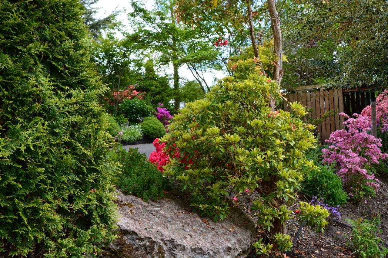 The Grove Lodge Guesthouse Killorglin Zewnętrze zdjęcie