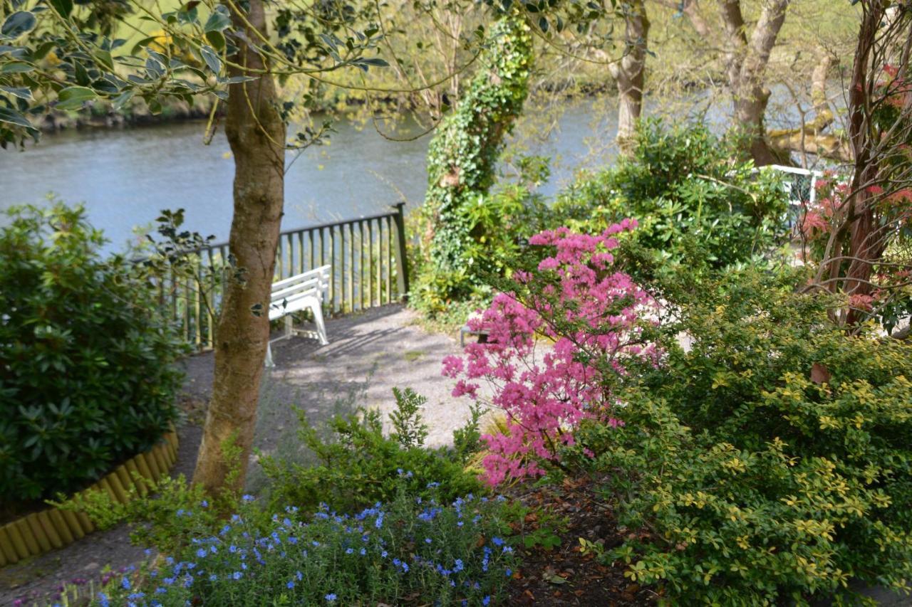The Grove Lodge Guesthouse Killorglin Zewnętrze zdjęcie