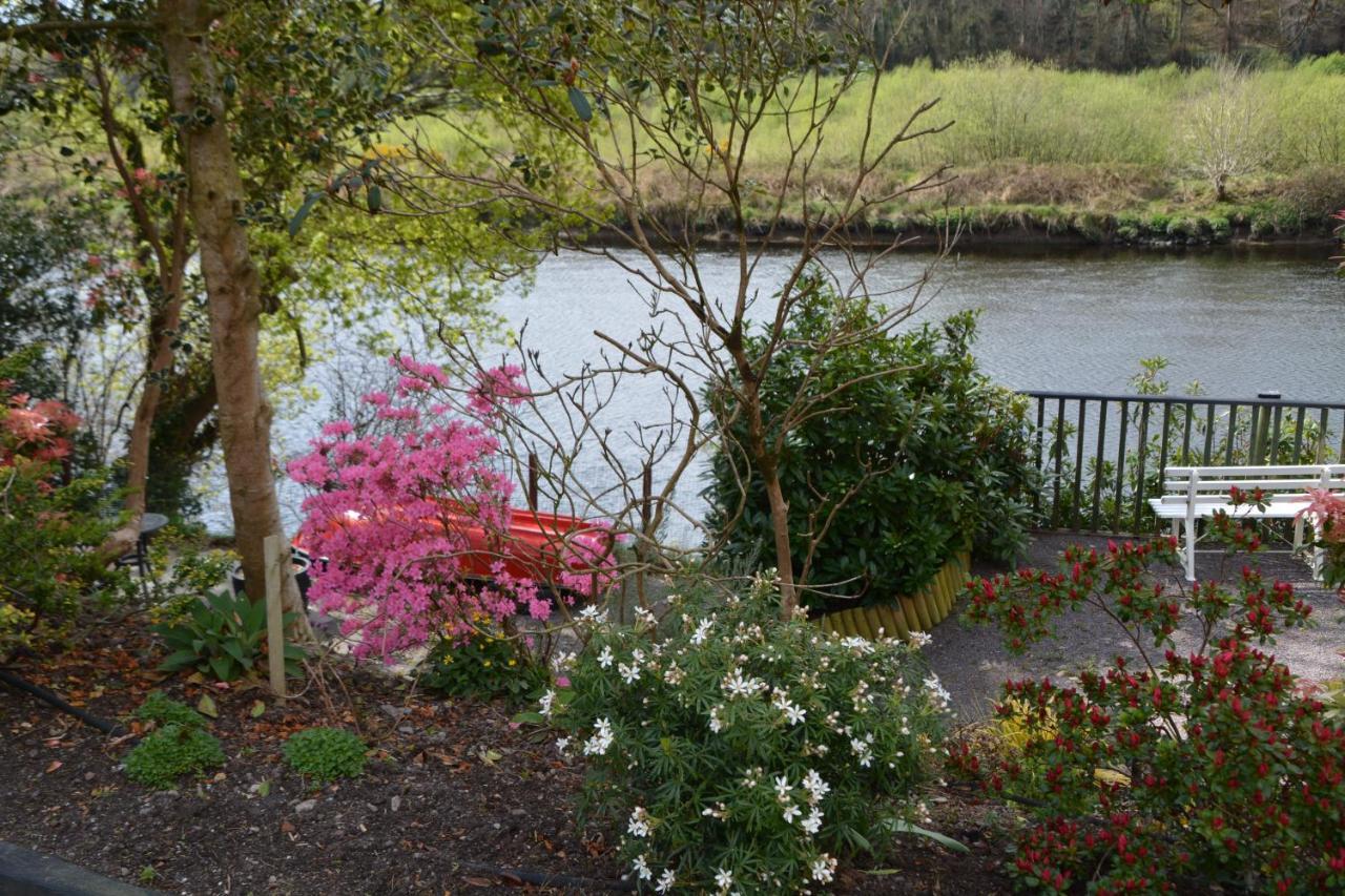 The Grove Lodge Guesthouse Killorglin Zewnętrze zdjęcie