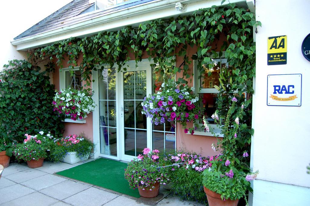 The Grove Lodge Guesthouse Killorglin Zewnętrze zdjęcie
